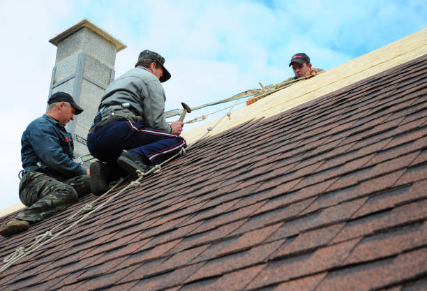Professional Roofing Contractor in Mansfield, LA
